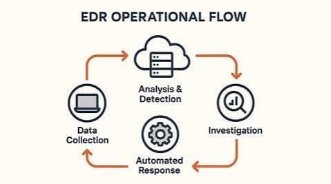 Endpoint Detection & Response (EDR)